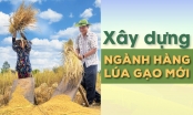 Ngân hàng Thế giới đủ tiềm lực hỗ trợ Việt Nam phát triển lúa gạo bền vững