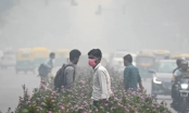 Thủ đô Ấn Độ đứng đầu danh sách ô nhiễm không khí vì đốt rơm rạ
