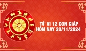 Tử vi 12 con giáp hôm nay Thứ 4 ngày 20/11/2024