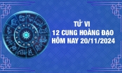 Tử vi 12 cung hoàng đạo hôm nay Thứ 4 ngày 20/11/2024