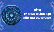 Tử vi 12 cung hoàng đạo hôm nay Thứ 6 ngày 22/11/2024