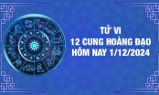 Tử vi 12 cung hoàng đạo hôm nay Chủ Nhật ngày 1/12/2024