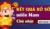 XSMN 8/12 Kết quả xổ số Miền Nam hôm nay 8/12/2024 XSMN Chủ Nhật