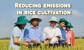 ‘1 must 5 decreases’ helps reduce 8 million tons of CO2e/ha/year