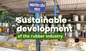 Sustainable development of the rubber industry: Sustainable forest management to stay ahead of the market