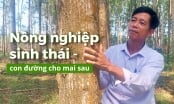 Đốt thực bì sau khai thác rừng: Đừng 'tham bát bỏ mâm'