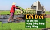 ‘Cởi trói’ cơ giới hóa vùng Đồng bằng sông Hồng Chuỗi liên kết sản xuất tạo đà cho cơ giới hóa