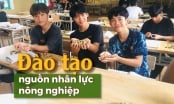 'Bệnh than' và bài thuốc từ mô hình độc đáo ở Nam Định