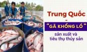 [Bài 2]: Dư địa cho thủy sản tươi sống của Việt Nam