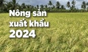 Vị thế gạo Việt ở thị trường Philippines đang bị cạnh tranh gay gắt