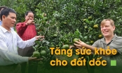 Cây chủ lực vươn mình trên đất khỏe