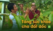 Cỏ dại là bạn, chỉ quản lý chứ không tiêu diệt