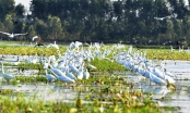 Improving the lives of people in the buffer zone of Lang Sen Wetland Reserve