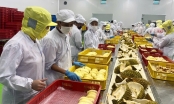 The door is wide open for blockbuster products: Durian exports could increase by 20%