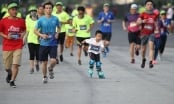 Báo Nông nghiệp Việt Nam tổ chức Giải chạy Marathon Quảng Trị năm 2024