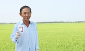 Syngenta ra mắt thuốc diệt rầy mới nhất: Pexena 20WG dạng cốm