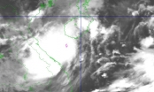 Bão số 4 cách Đà Nẵng 183km, sức gió giật cấp 10