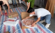 Phát hiện 2,4 tấn thịt gà đông lạnh ghi nhãn chữ nước ngoài