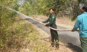 Diễn tập chữa cháy rừng tại rừng tràm Gáo Giồng
