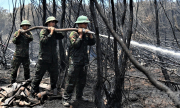 Cháy rừng sản xuất lan sang rừng phòng hộ, thiệt hại hơn 370 ha