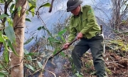Kiến nghị Thủ tướng bố trí kinh phí cấp bách về phòng chống cháy rừng