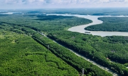 TP.HCM nghiên cứu lập đề án phủ kín rừng phòng hộ Cần Giờ
