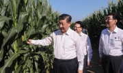 Luật An ninh lương thực của Trung Quốc chính thức có hiệu lực