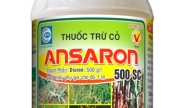 Ansaron 500SC - Thuốc trừ cỏ hiệu quả cho ruộng mía, khoai mì, cà phê
