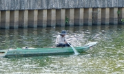 Ngang nhiên chích điện tật diện cá trên kênh Nhiêu Lộc - Thị Nghè