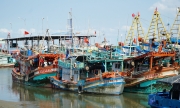 Gỡ 'thẻ vàng' IUU - Vì tương lai thủy sản Việt Nam: [Bài 1] Mạnh tay với tàu cá '3 không'