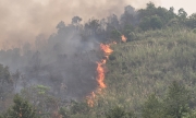 Xử phạt trường hợp đốt nương trong lúc rừng có nguy cơ cháy cao