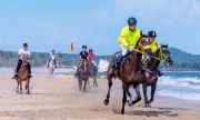 Xin đầu tư trường đua ngựa quốc tế tại huyện Xuyên Mộc rộng 100ha