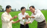 Năm 2024, Đồng Tháp đào tạo nghề nông nghiệp cho hơn 2.000 lao động