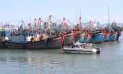 Khánh Hòa siết chặt quản lý tàu cá