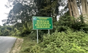 Quỹ Bảo vệ và Phát triển rừng Bình Thuận sẵn sàng tiếp cận thị trường carbon