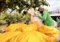 20 tấn bao gói thuốc bảo vệ thực vật được thu gom