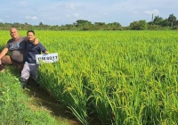 Việt Nam tiếp tục hỗ trợ Cuba đổi mới sản xuất nông sản, thủy sản