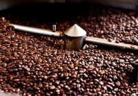 Giá cà phê hôm nay 2/5/2024: Thị trường tiếp tục giảm