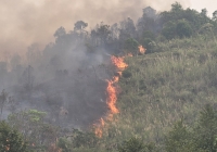 Cháy rừng tại Lai Châu