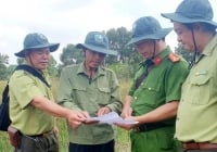Đồng Tháp cấp bách triển khai các biện pháp phòng chống cháy rừng
