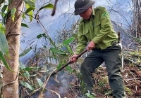 Kiến nghị Thủ tướng bố trí kinh phí cấp bách về phòng chống cháy rừng