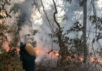 Nỗ lực chữa cháy rừng tại Vườn quốc gia Lò Gò – Xa Mát