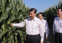 Luật An ninh lương thực của Trung Quốc chính thức có hiệu lực