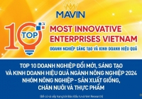 Mavin xếp hạng Top 10 doanh nghiệp sáng tạo và kinh doanh hiệu quả 2024
