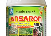Ansaron 500SC - Thuốc trừ cỏ hiệu quả cho ruộng mía, khoai mì, cà phê