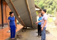 182 nhà dân ở Tuyên Quang bị tốc mái, hư hỏng do dông lốc