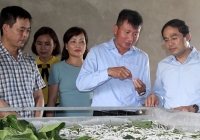 2 tỉnh Lào Cai và Yên Bái trao đổi kinh nghiệm xây dựng nông thôn mới