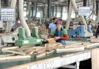 ‘Sinh lộ’ của ngành gỗ Việt: [Bài 2] Từ quản lý rừng bền vững đến chống phá rừng