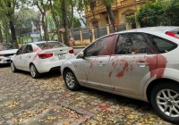 Tạm giữ hình sự 4 đối tượng tạt sơn vào nhiều xe ô tô