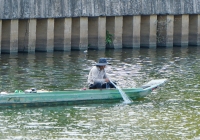 Ngang nhiên chích điện tật diện cá trên kênh Nhiêu Lộc - Thị Nghè